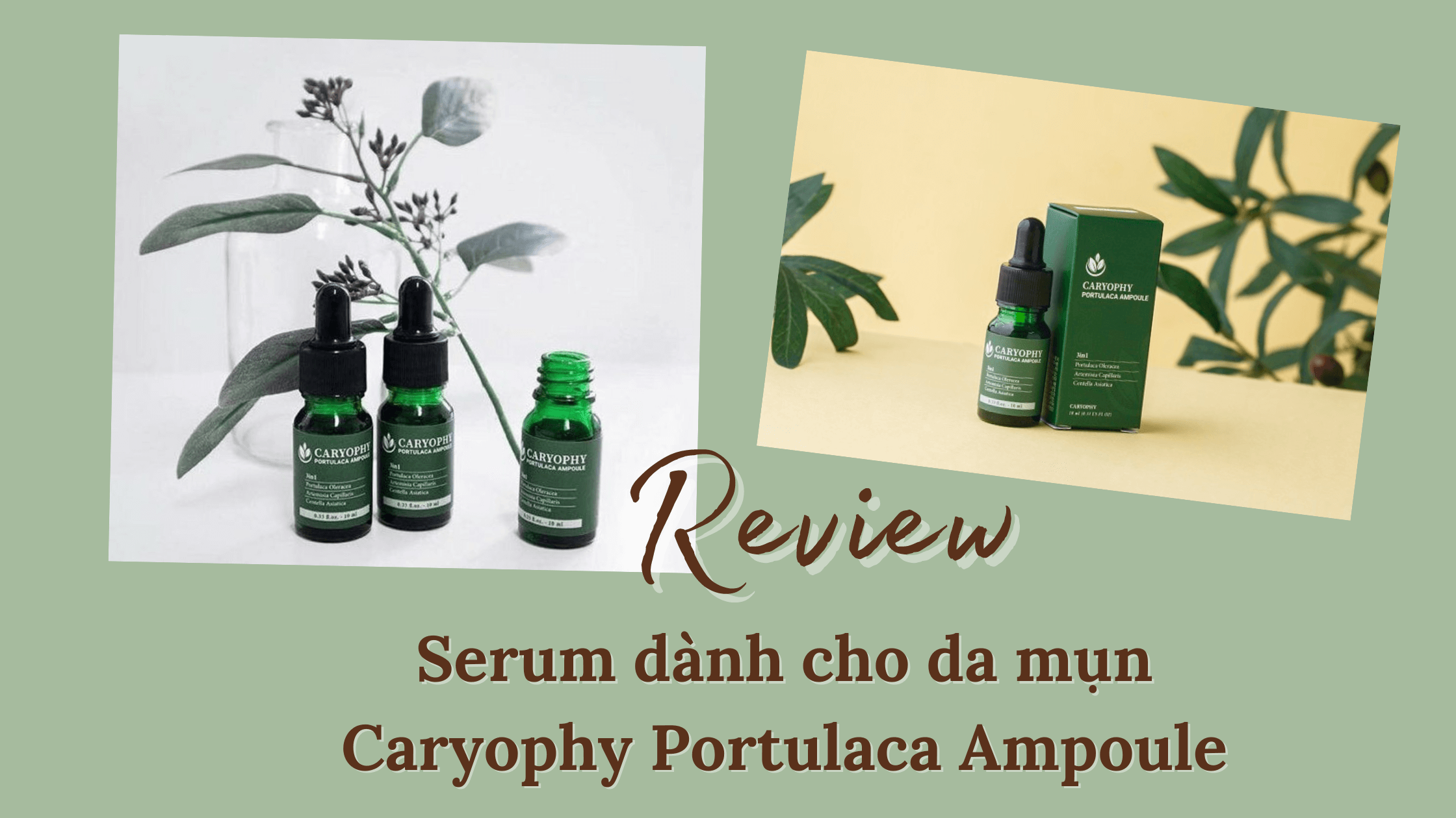 Review Serum cho da mụn Caryophy Portulaca Ampoule
